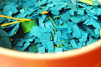 Blue Colour Sqaure Paper