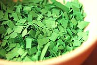 Green Sqaure Paper