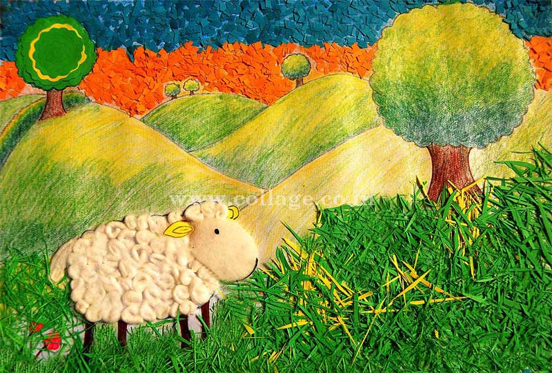 Sheep in the grass land