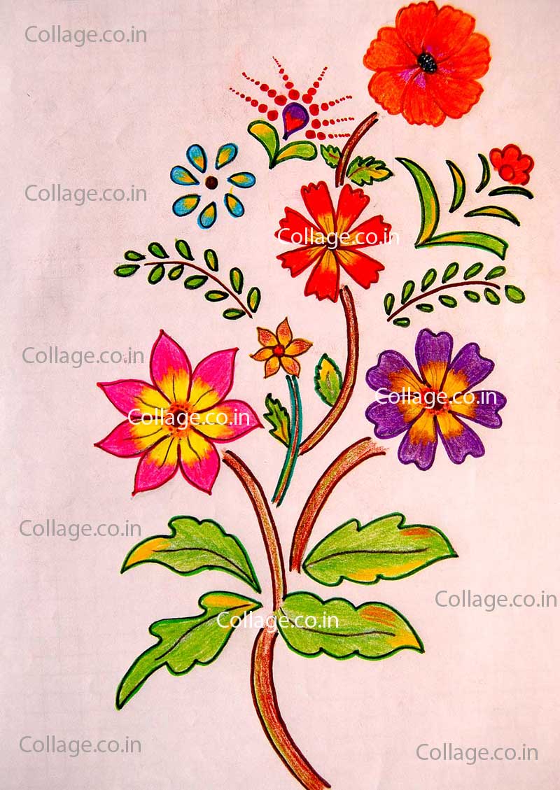 Daisy flowers in a stalk - Hand drawn