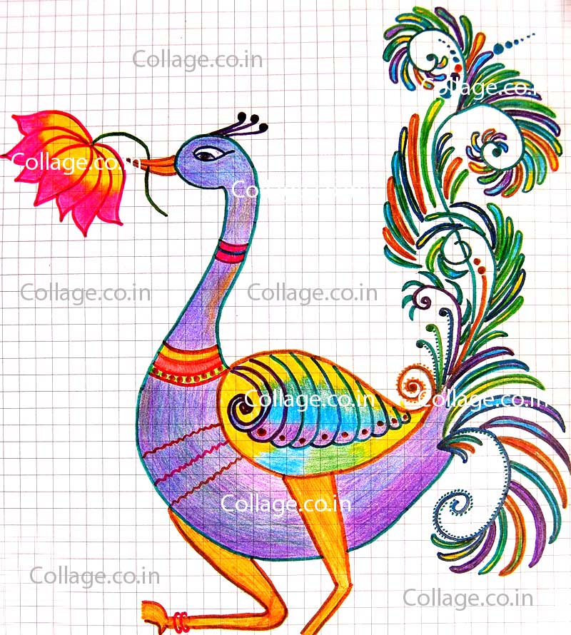 Peacock with Lotus Flower - Hand drawn